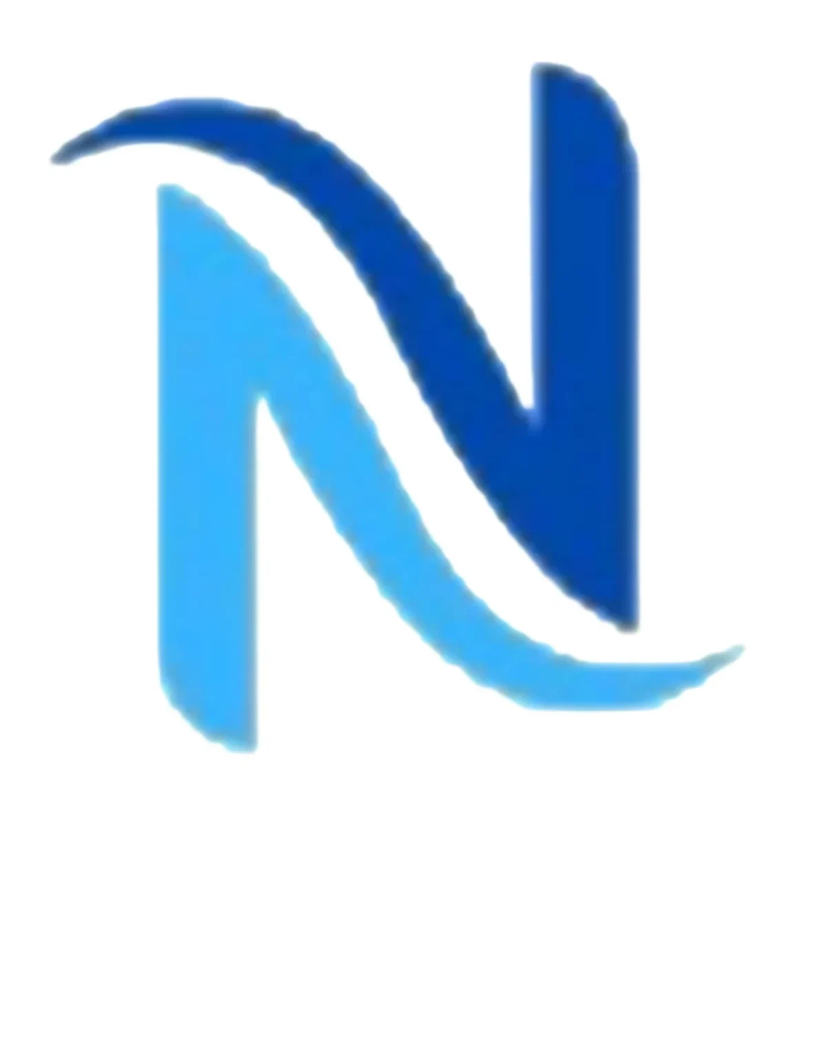 Netinfo Logo